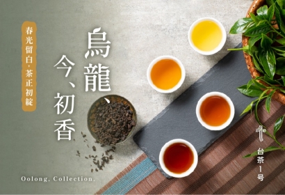 《烏龍、今、初香》春光留白，茶正初綻